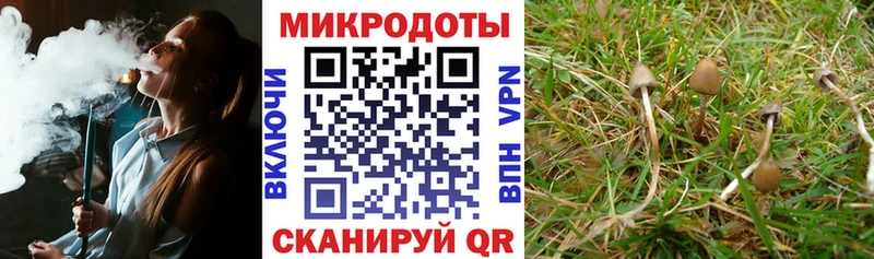 как найти закладки  Ленск  Галлюциногенные грибы MAGIC MUSHROOMS 